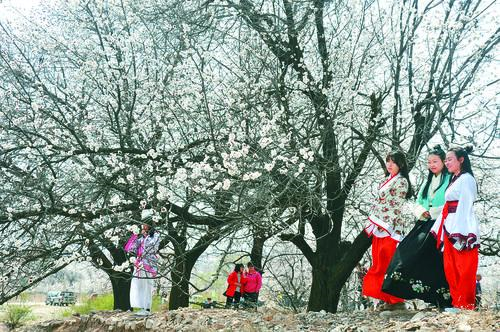 8直播吧体育直播现场